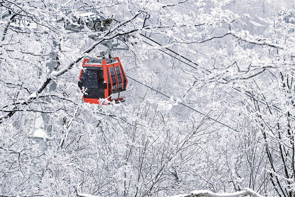 潜派旅行