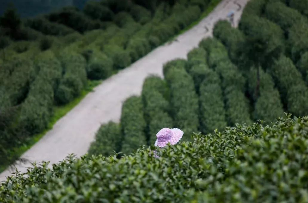 潜派旅行