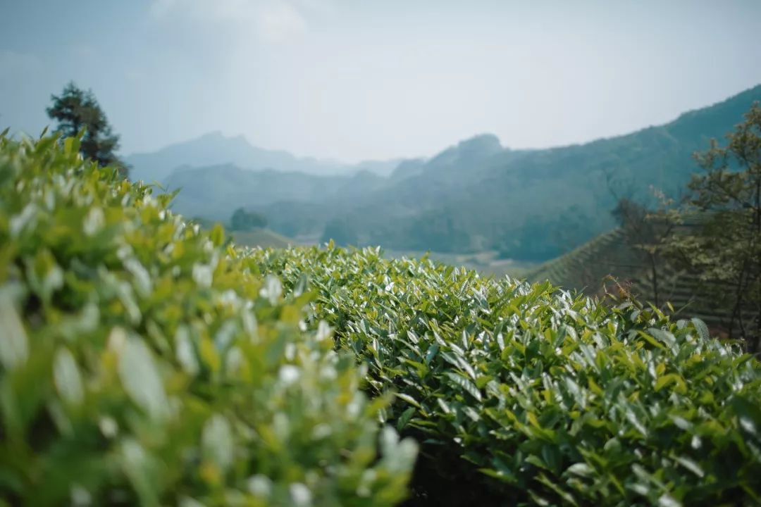 潜派旅行