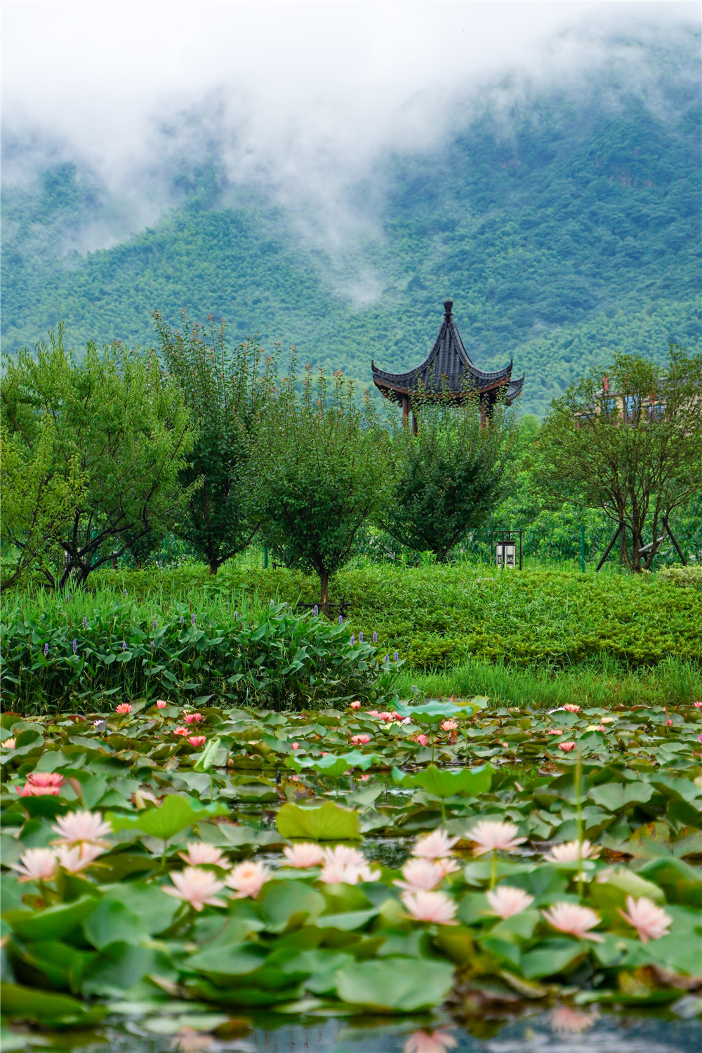 潜派旅行