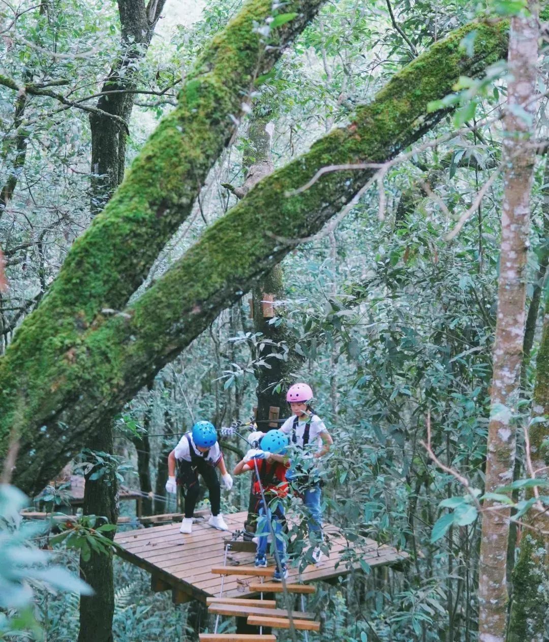 潜派旅行