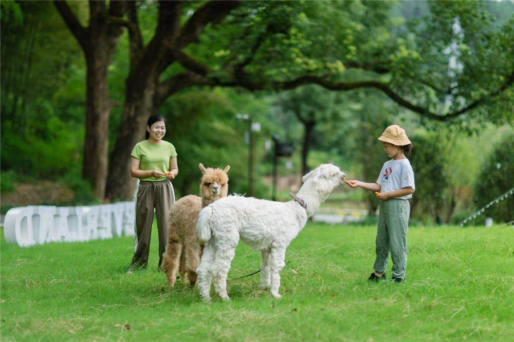 潜派旅行