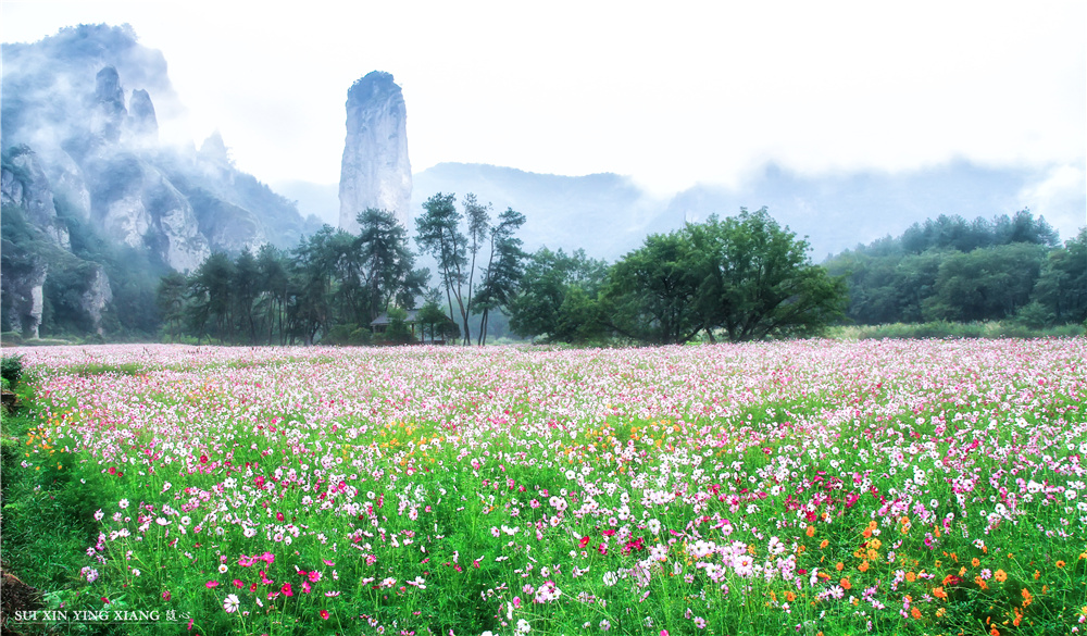 潜派旅行