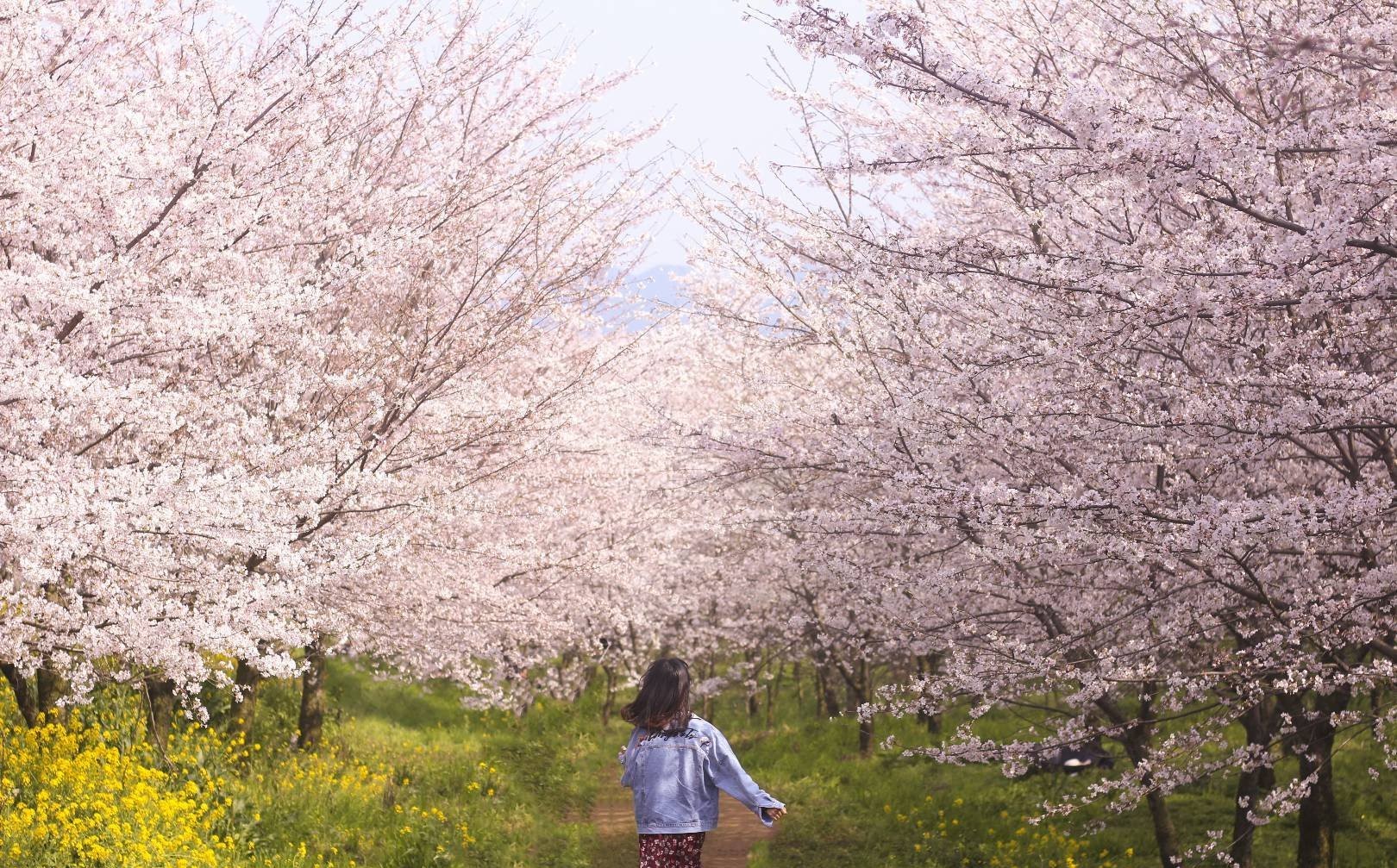 潜派旅行