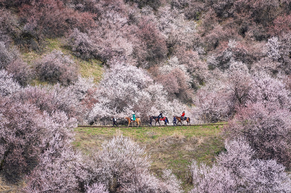 潜派旅行